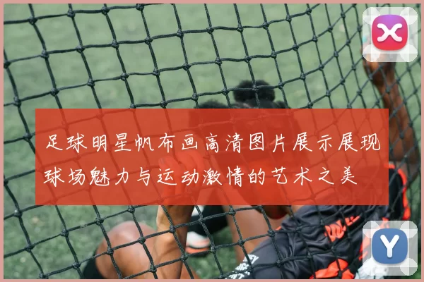 足球明星帆布画高清图片展示展现球场魅力与运动激情的艺术之美