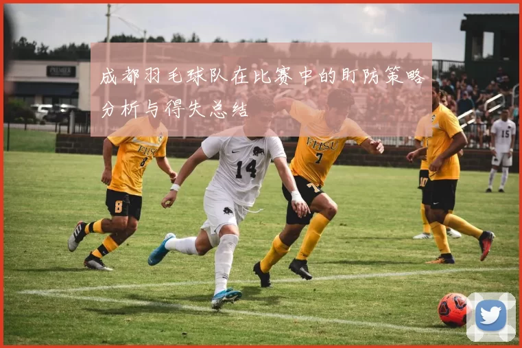 成都羽毛球队在比赛中的盯防策略分析与得失总结