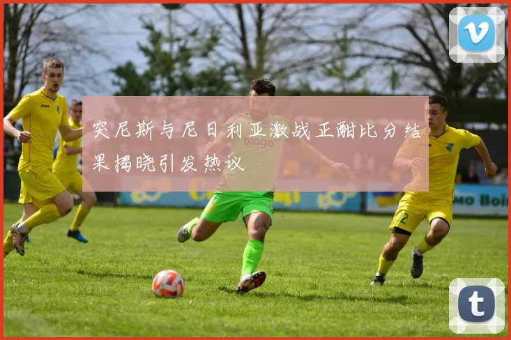突尼斯与尼日利亚激战正酣比分结果揭晓引发热议