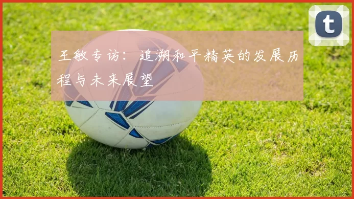 王敏专访：追溯和平精英的发展历程与未来展望