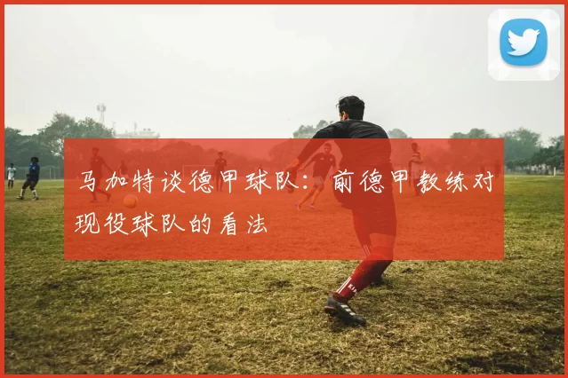 马加特谈德甲球队：前德甲教练对现役球队的看法