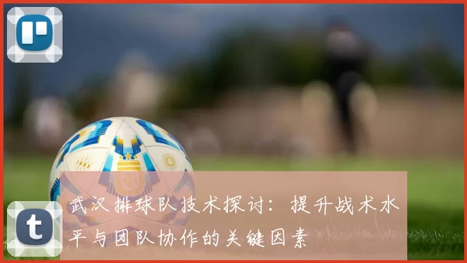 武汉排球队技术探讨：提升战术水平与团队协作的关键因素