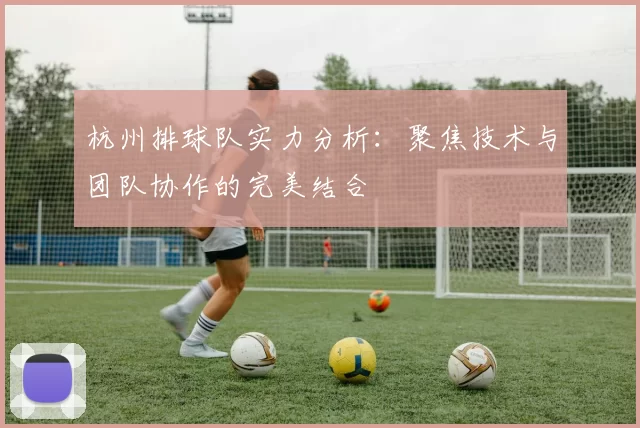 杭州排球队实力分析：聚焦技术与团队协作的完美结合