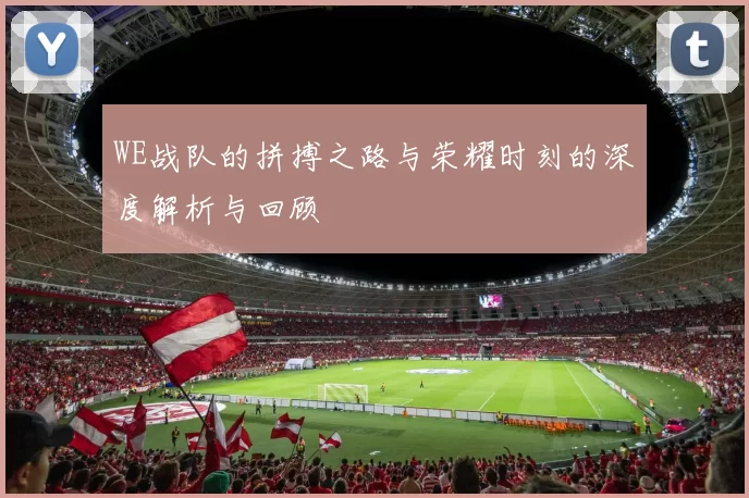 WE战队的拼搏之路与荣耀时刻的深度解析与回顾