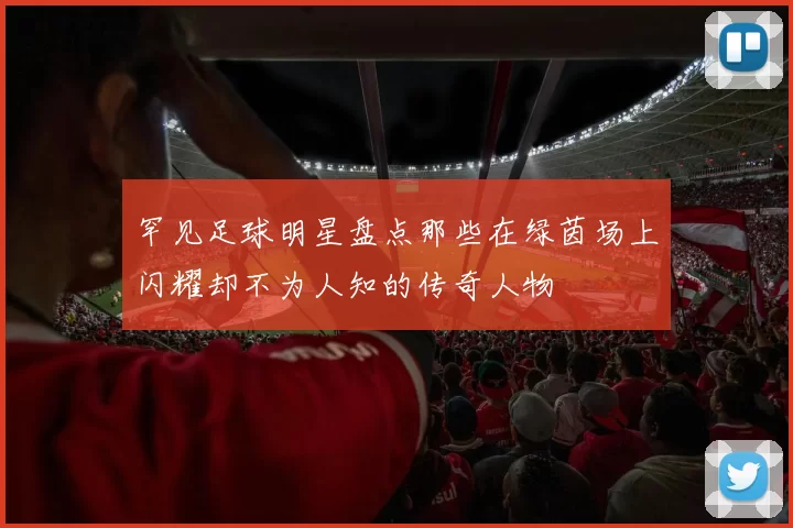 罕见足球明星盘点那些在绿茵场上闪耀却不为人知的传奇人物