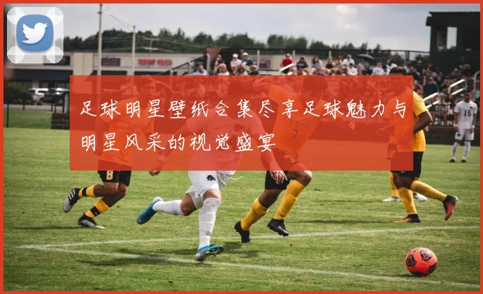 足球明星壁纸合集尽享足球魅力与明星风采的视觉盛宴