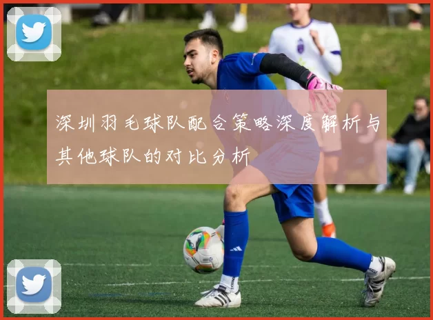 深圳羽毛球队配合策略深度解析与其他球队的对比分析