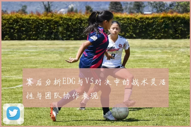 赛后分析EDG与V5对决中的战术灵活性与团队协作表现