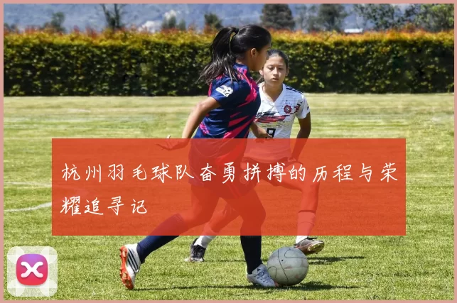 杭州羽毛球队奋勇拼搏的历程与荣耀追寻记