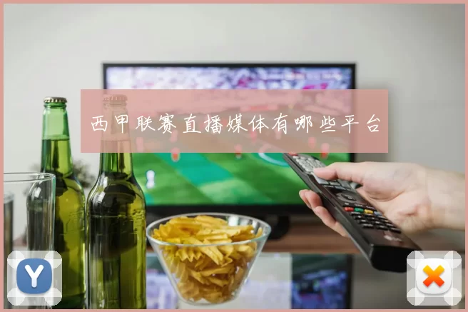 西甲联赛直播媒体有哪些平台