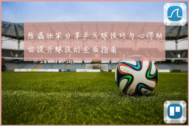 陈磊独家分享乒乓球技巧与心得助你提升球技的全面指南
