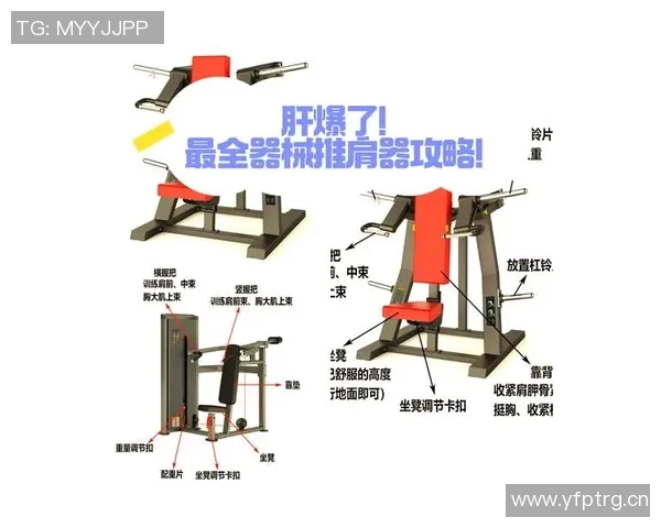 肩部训练健身器材大盘点:常见设备与训练目标对比 肩部训练健身器材大盘点:常见设备与训练目标对比